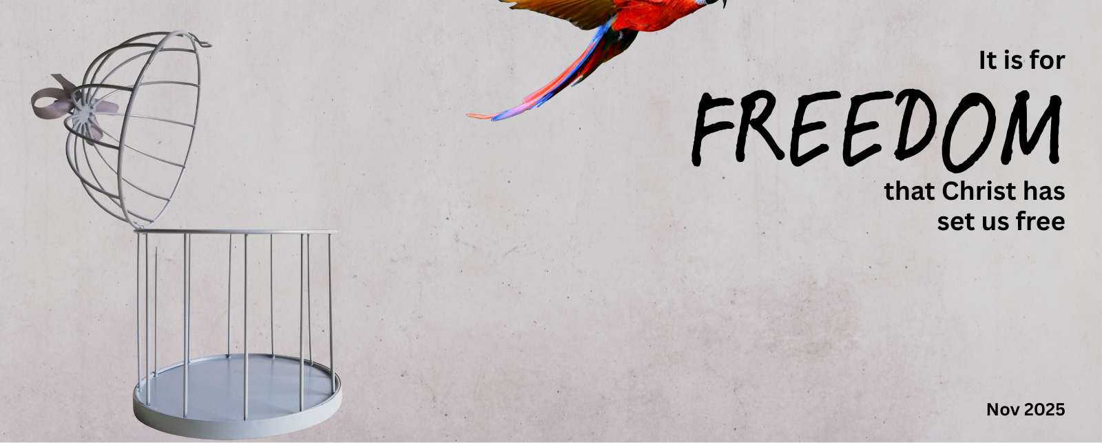 ATTEND*This Sunday*INFO