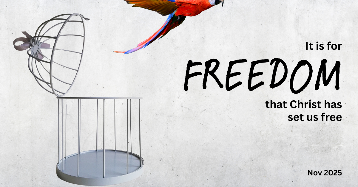 2025 Nov - FREEDOM full backdr